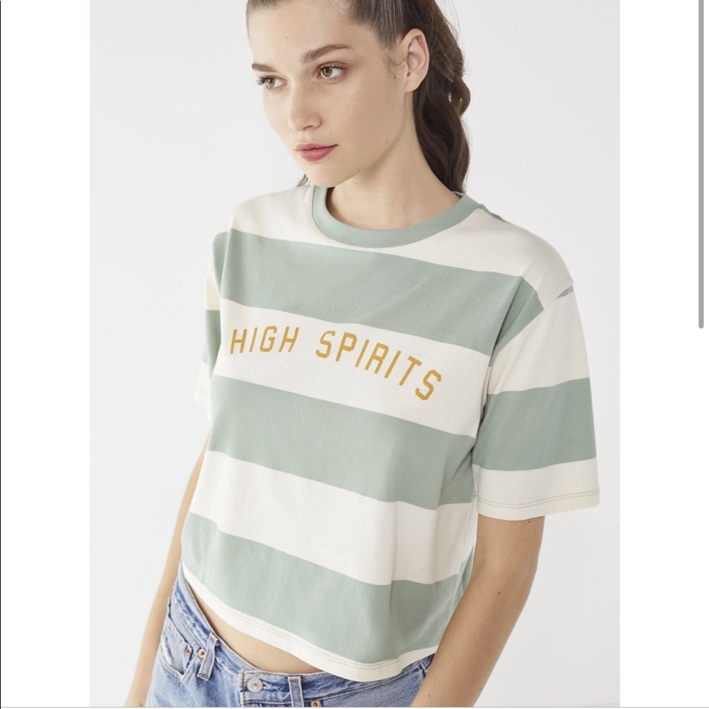 NWT Urban Outfitters High Spirits Striped Crop Tee S Sage Green Graphic